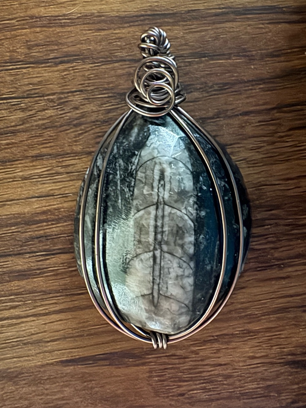 Handcrafted Wire-Wrapped Orthoceras Fossil Oval Stone Pendant in